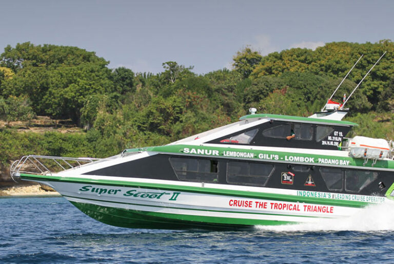 Scoot Fast Cruises photo 1